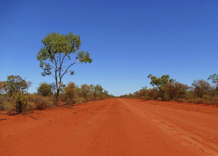 Iconic Red Dirt Photograph by Maryse Jansen