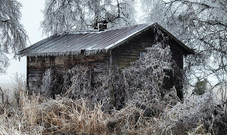 Icy Arkansas Cabin Photograph by Ally White