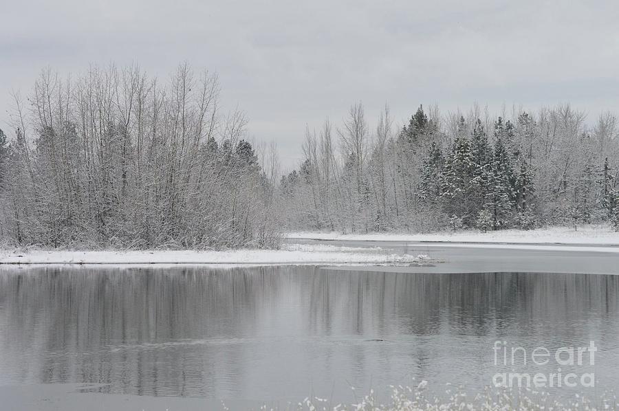 Icy Photograph By Brynne B - Fine Art America