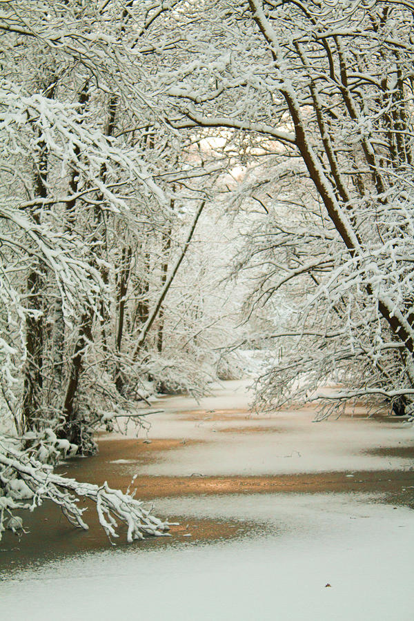 Icy Canal Photograph by Kirsten Mumford - Fine Art America