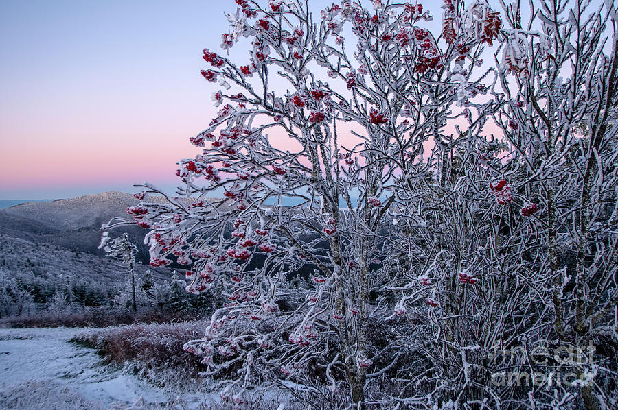 Icy Dawn from Mount Mitchel Photograph by Jane Axman