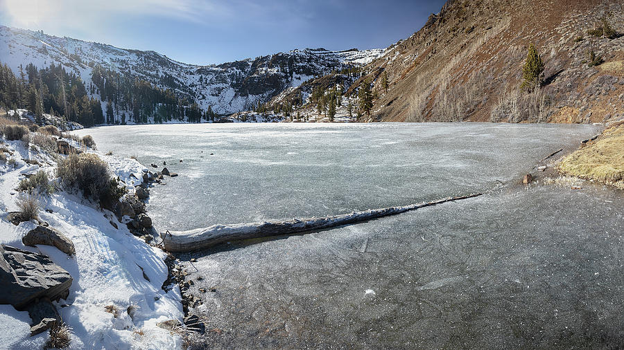 Icy Elegance Pano Photograph by Gary Geddes