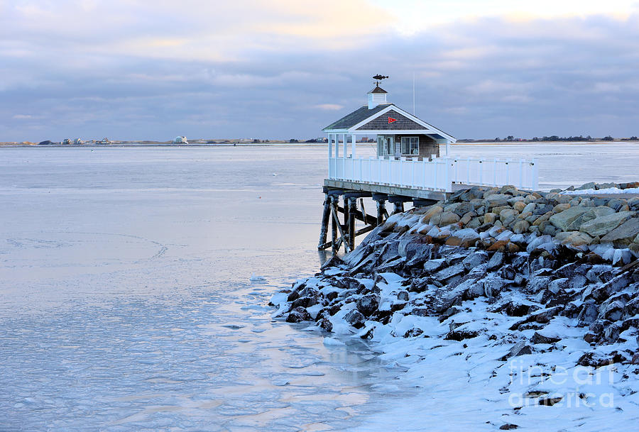 Icy Harbor at Low Tide Photograph by Janice Drew