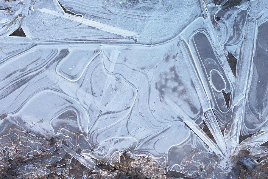 Icy Puddle Patterns Photograph