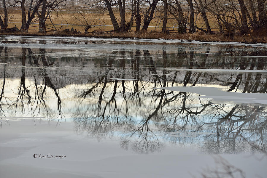 Icy Reflections Photograph by Kae Cheatham