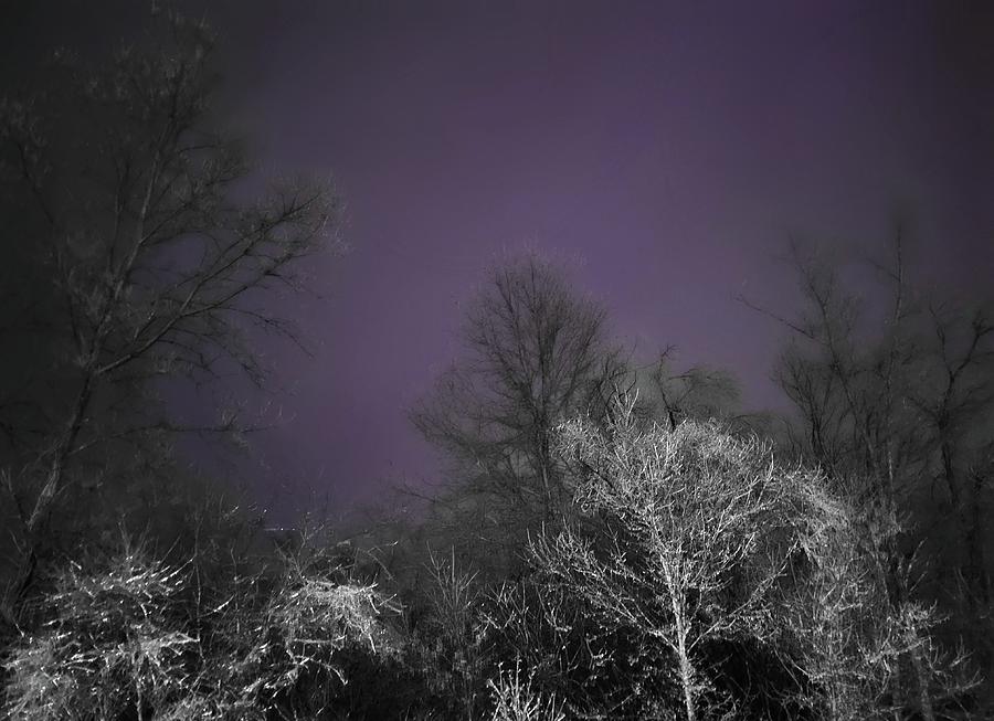 Icy Trees and Distant Lightning  Photograph by Ally White