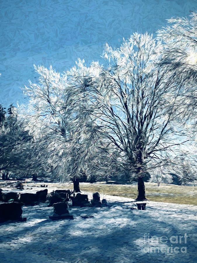 Icy Trees Photograph by Luther Fine Art