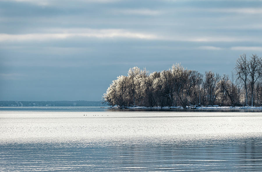 Icy Trees Photograph by Sandy Roe - Fine Art America