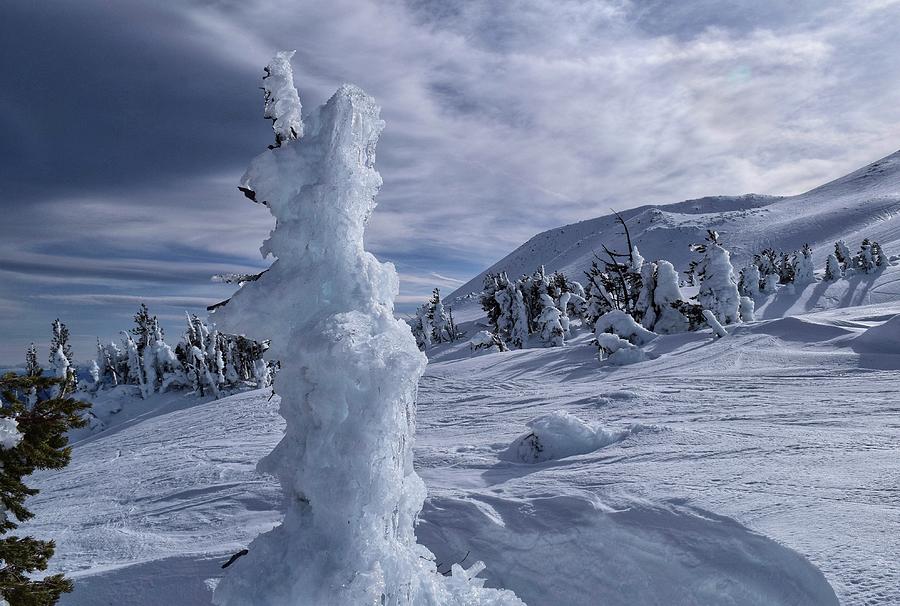 Winter Photograph - Icy Wonderland by Dana Hardy