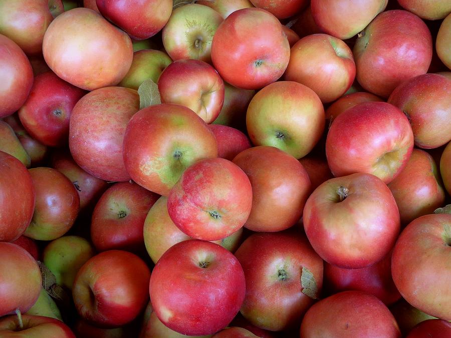 Ida Red Apples Photograph by Joseph Skompski