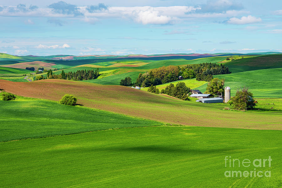 Idaho Farmland Photograph by Bob Phillips - Fine Art America