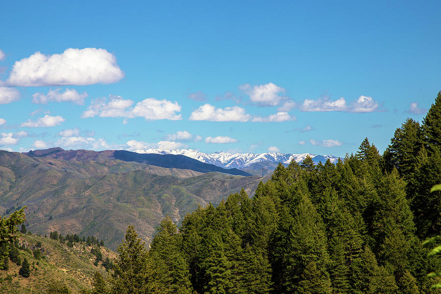 Idaho Mountain View Photograph by Dart Humeston