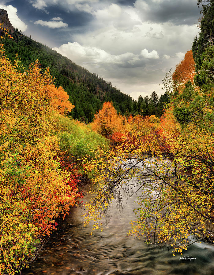 Idaho, Palisades Creek Autumn Photograph by Leland D Howard
