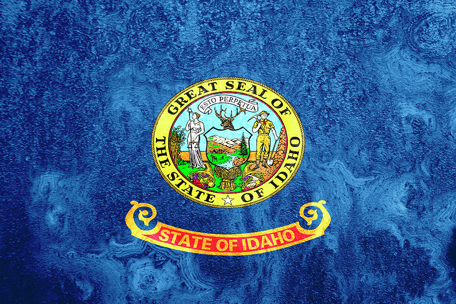 Idaho State Flag On Rust Photograph