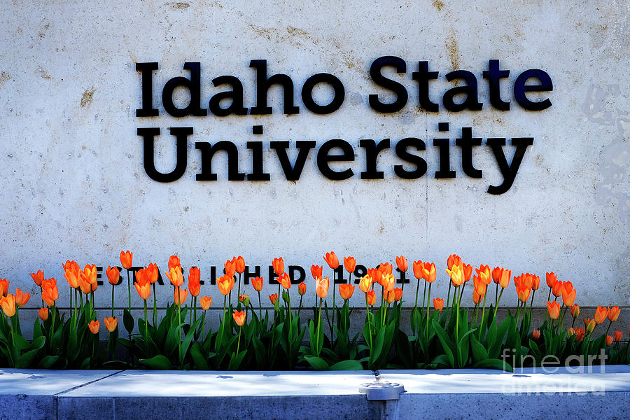 Idaho State University Sign with Flowers in Garden Education Col Photograph by Lane Erickson