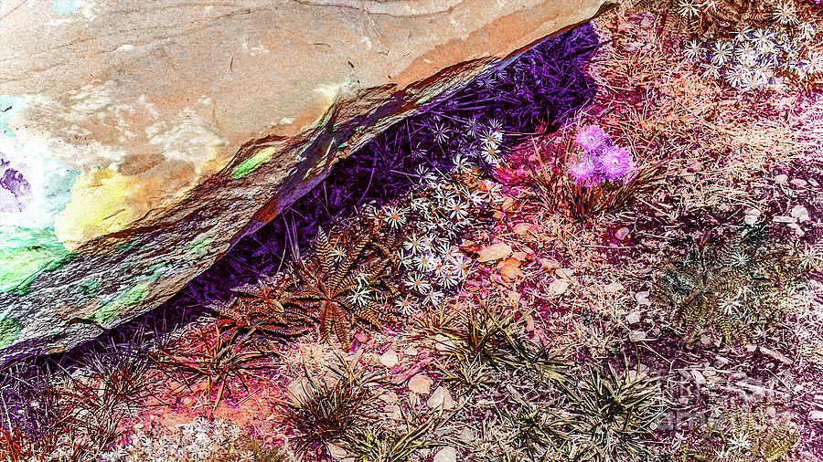 Spring Digital Art - Idaho Underbrush by Anthony Ellis