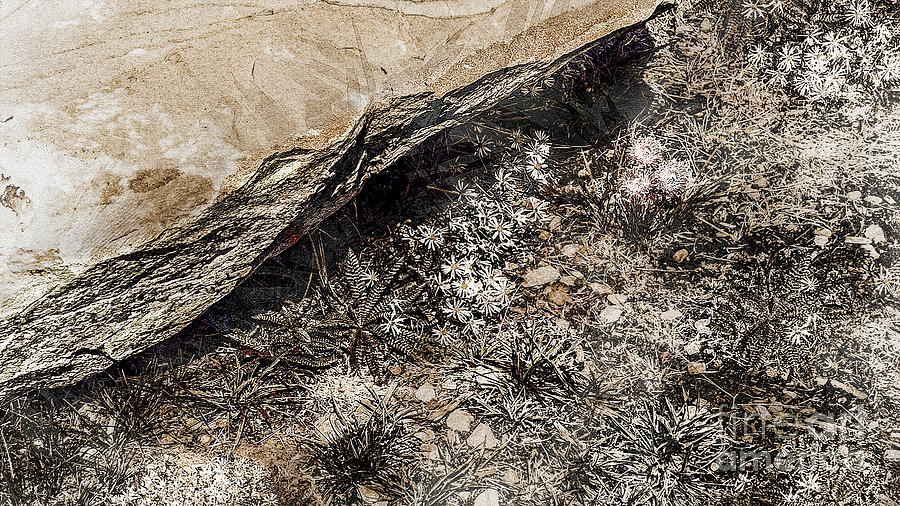 Spring Digital Art - Idaho Underbrush - Monochromatic by Anthony Ellis