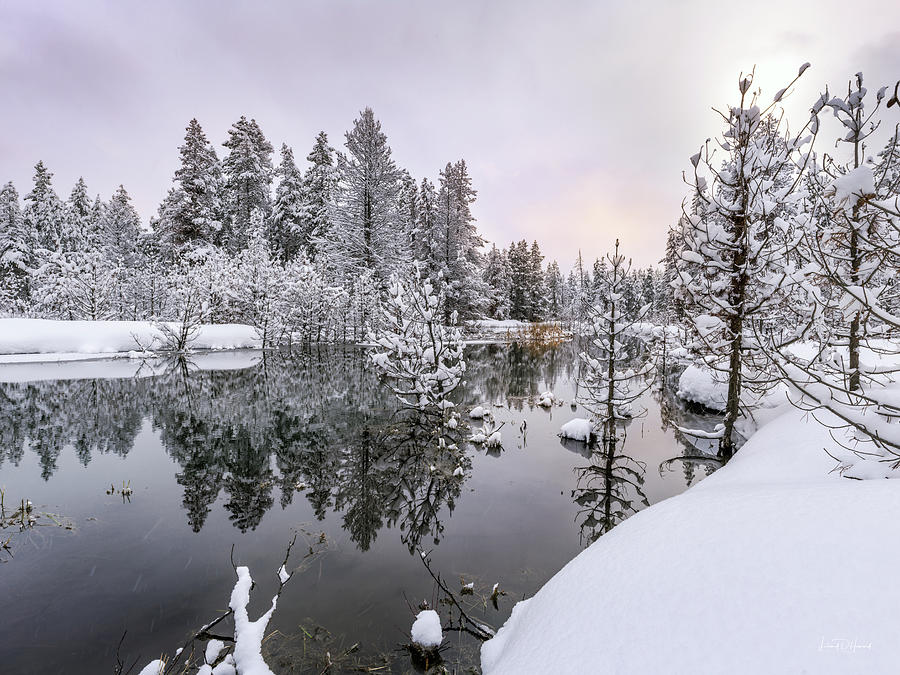 Nature Photograph - Idaho Winter Island Park 3 by Leland D Howard
