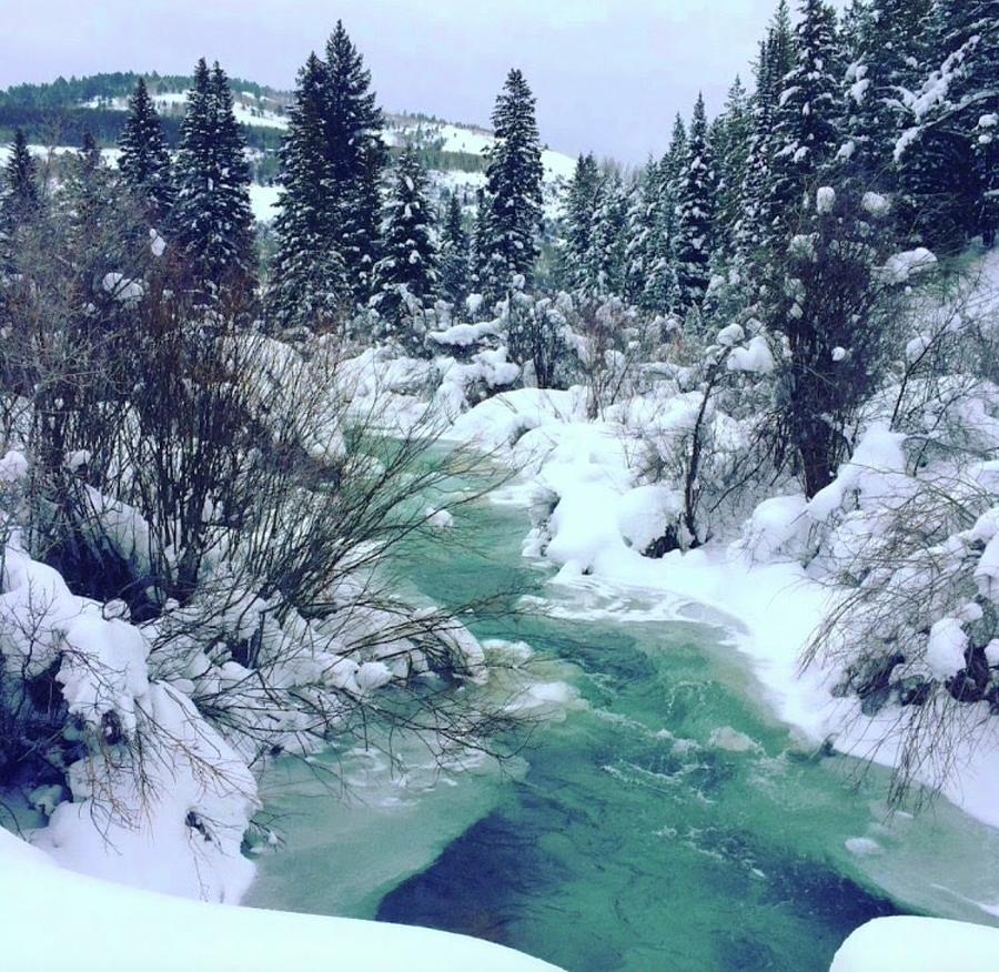Idaho Winter Photograph by Kimberly Clough