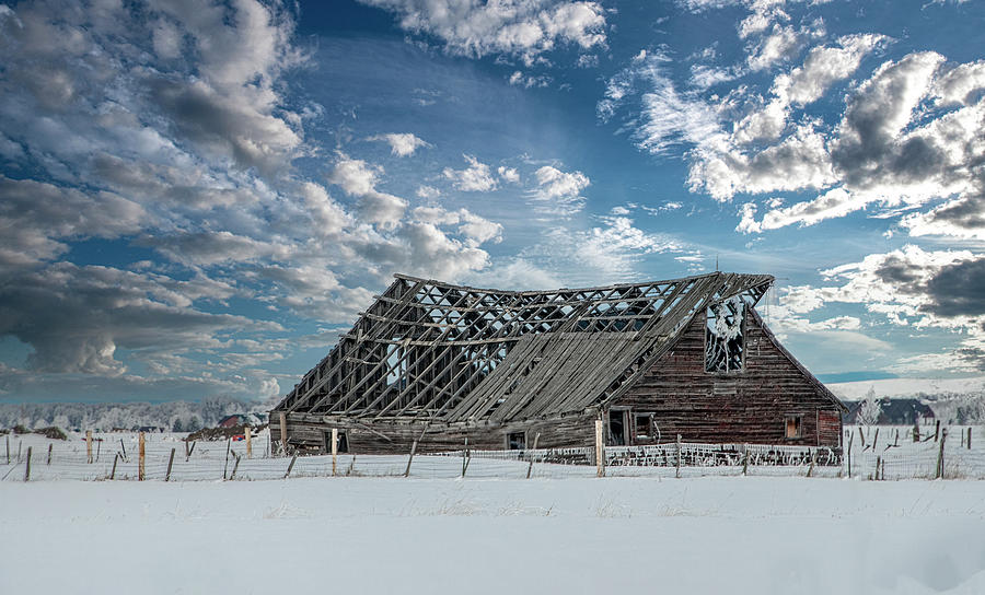 Idaho Winter Barn Landscape Photograph by Marcy Wielfaert