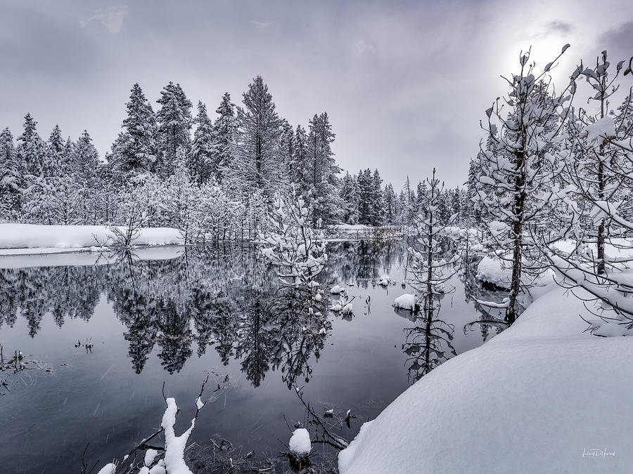 Idaho Winter Wonderland 4 Photograph by Leland D Howard