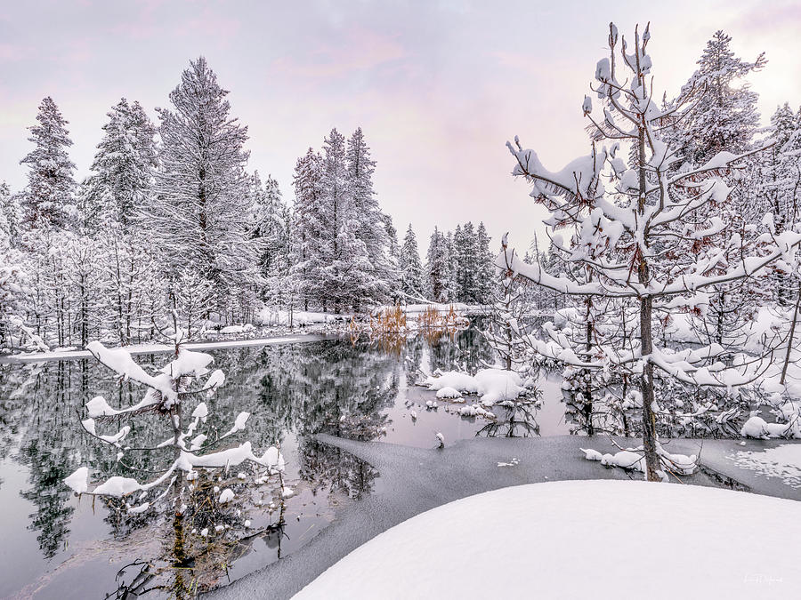 Idaho Winter Wonderland Photograph by Leland D Howard