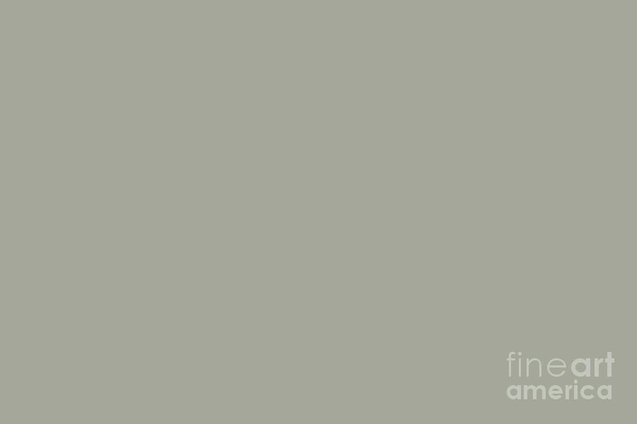 Idealistic Neutral Grey Green Solid Color Pairs To Sherwin Williams Rare  Gray SW 6199 Digital Art by PIPA Fine Art - Simply Solid - Pixels