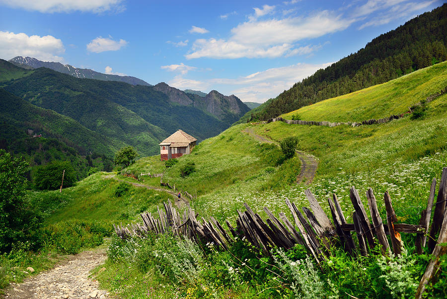 Idyllic landscape from Svaneti, Caucasus mountain Photograph by Maya Karkalicheva