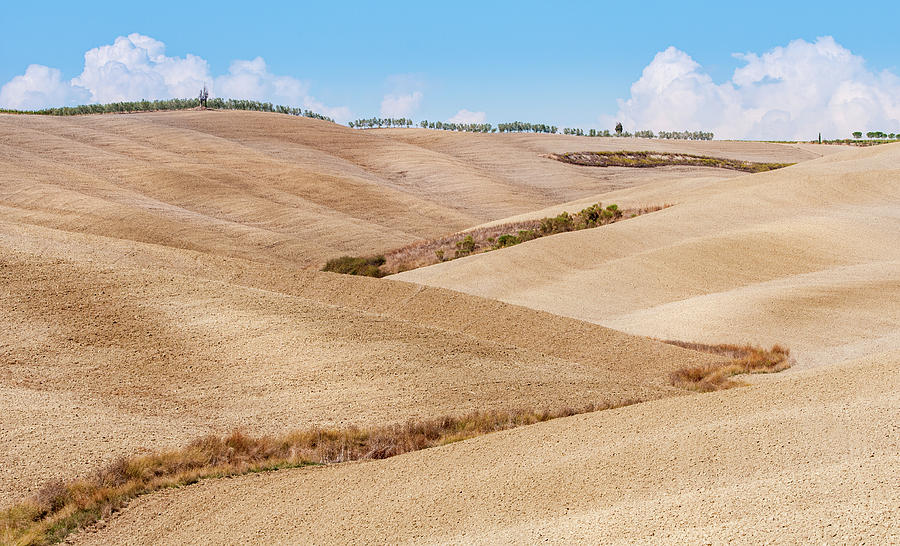 Idyllic landscape with meadow filed at Tuscany area   near Pienz Photograph by Michalakis Ppalis