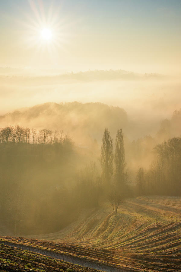 Idyllic morning on hills Photograph by Davorin Mance