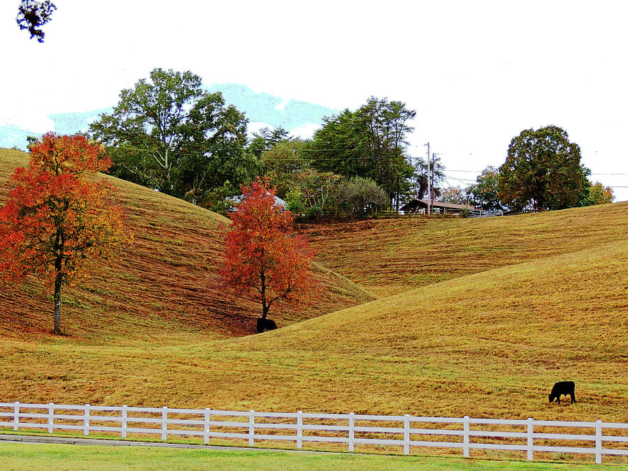 Idyllic Tennessee Countryside Photograph By Marian Bell Fine Art America