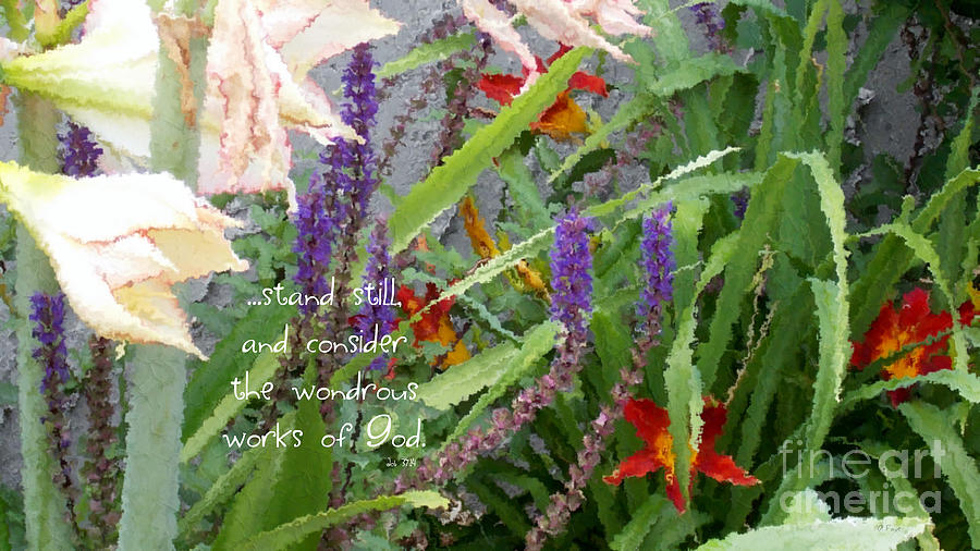 Flower Photograph - If Flowers Could Talk - Verse by Anita Faye