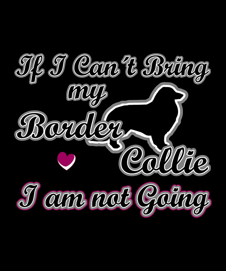 Cool Digital Art - If I cant bring my Border Collie  Im not going by Sarcastic P