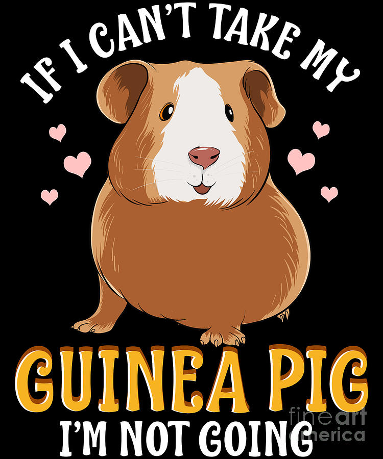 If I Cant Take My Guinea Pig Im Not Going Digital Art by The Perfect ...