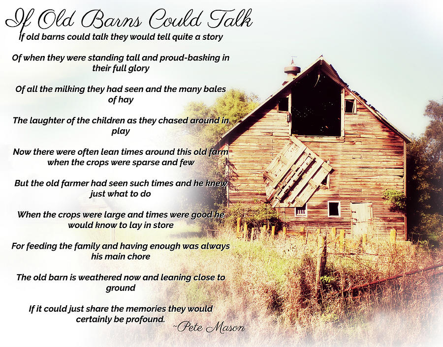 If Old Barns Could Talk by Julie Hamilton If Old Barns Could Talk by Julie Hamilton