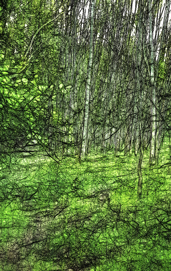 If you go down to the woods Digital Art by Roger Lighterness