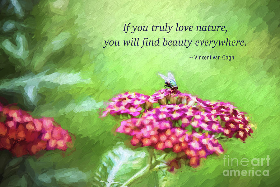 If You Truly Love Nature Digital Art by Sharon McConnell