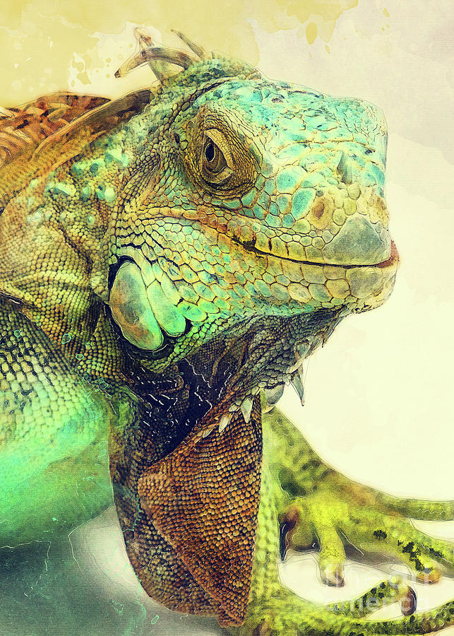 Iguana animals art #iguana Digital Art by Justyna Jaszke JBJart