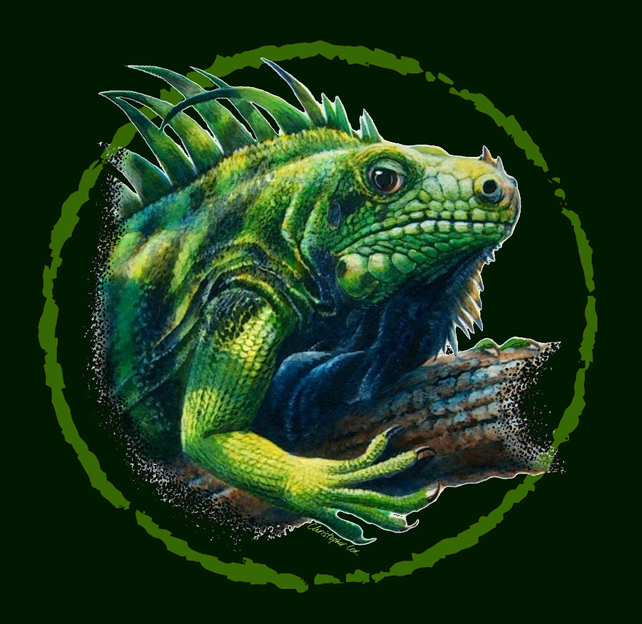 Iguana Digital Art by Christopher Cox