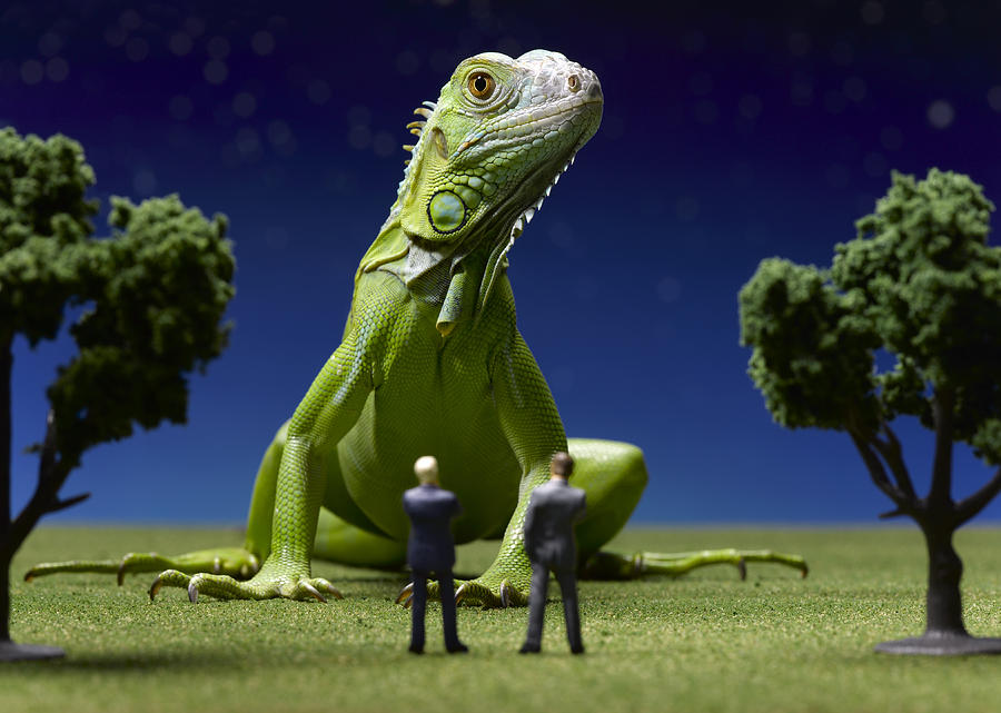 Iguana confronting toy businessmen Photograph by Jeffrey Coolidge
