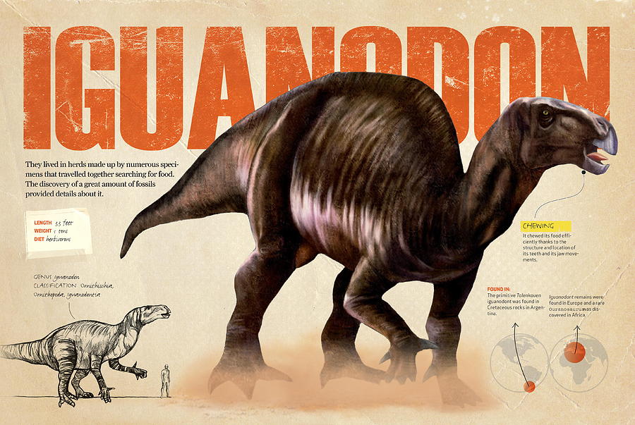 Iguanodon Digital Art by Album
