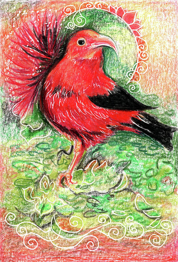 Iiwi I Alphabet Bird Drawing by Katherine Nutt