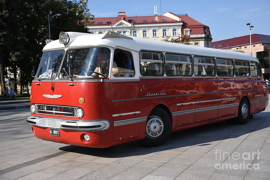 Ikarus Lux Photos and Images & Pictures
