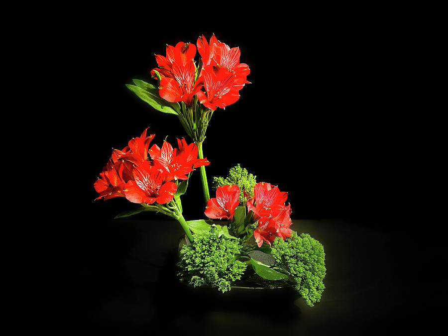 Ikebana Art of Flowers Photograph by Carol Eade