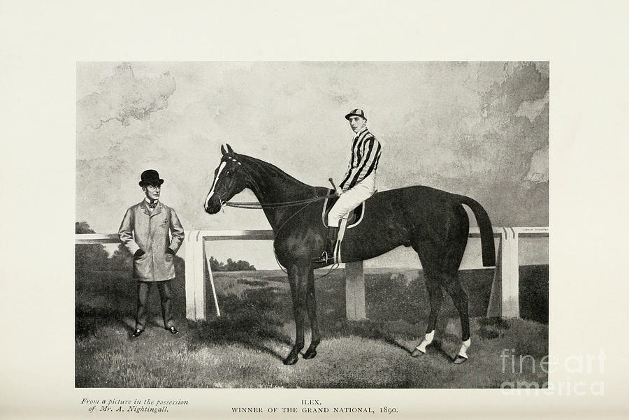 Ilex Winner of the Grand National of 1890 a2 Drawing by Historic ...