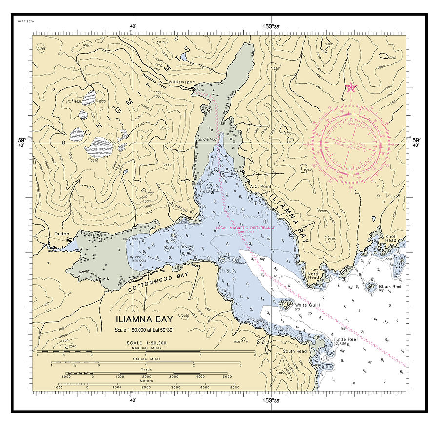 Iliamna Bay Cook Inlet Alaska, Chart 16648_2, Noaa Chart 16648 Digital ...