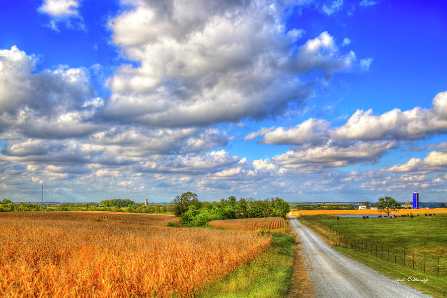 Illinois Country Road 7 Cornfield Farming Landscape Art Photograph by Reid Callaway