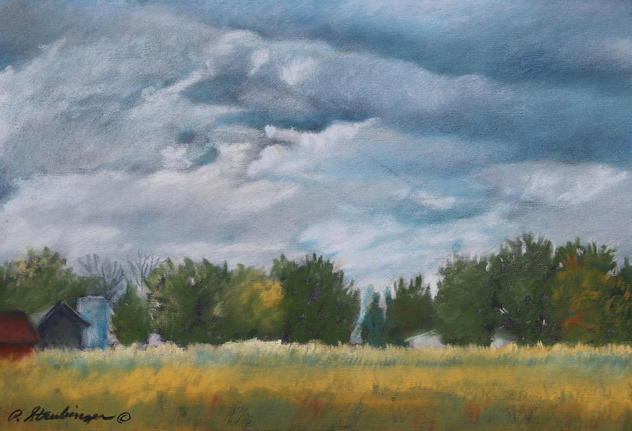 Illinois Field Three Pastel by Patty Strubinger - Fine Art America