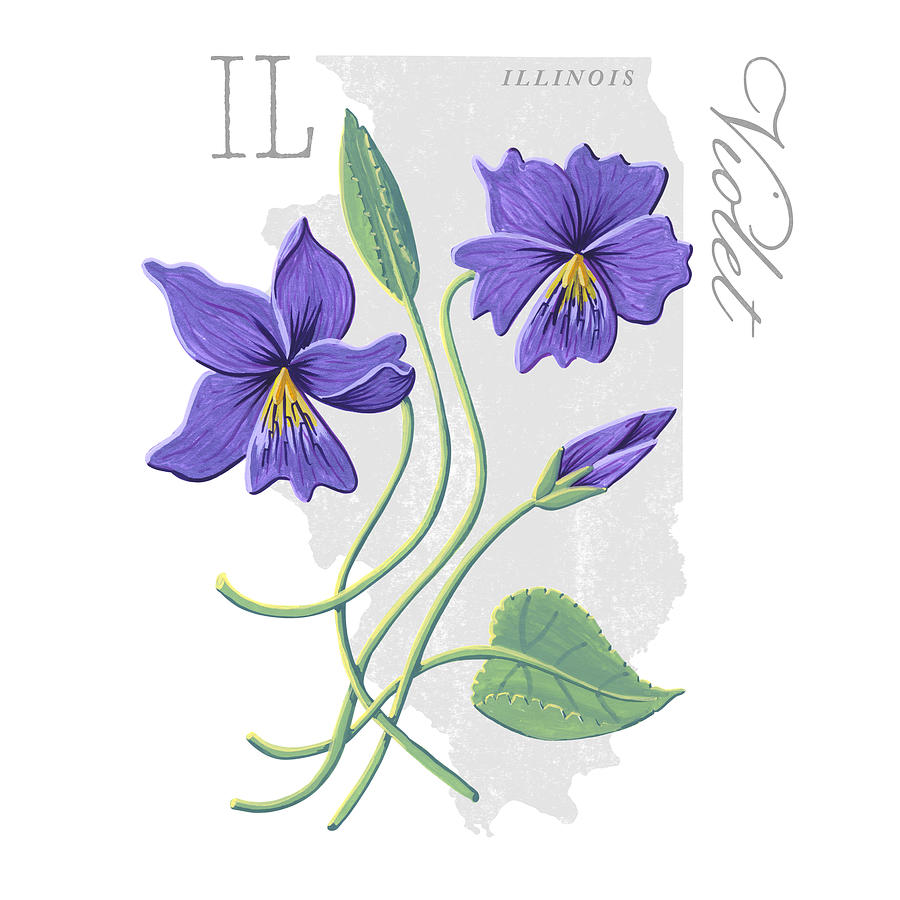 Illinois State Flower Violet Art by Jen Montgomery Painting by Jen