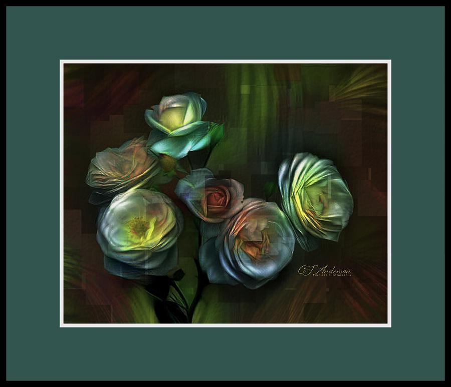 Illuminated Roses Photograph